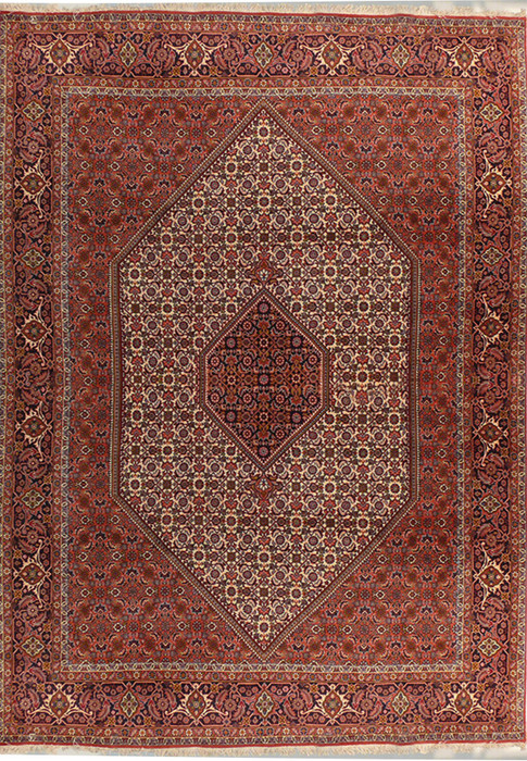 6'6" x 9'7" Persian Bijar Rug