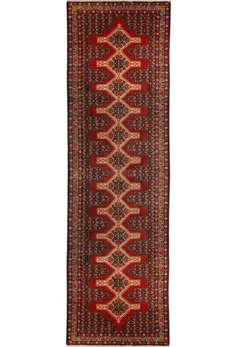 3 x 13 Geometric & Botanical Persian Senneh Runner Rug