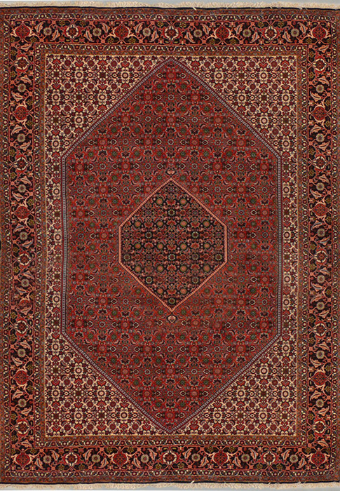 6'3 x 9'6 Persian Bijar Rug Mahi Design