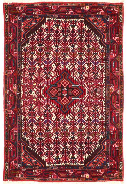 3 x 5 Persian Hamedan Rug | Clearance
