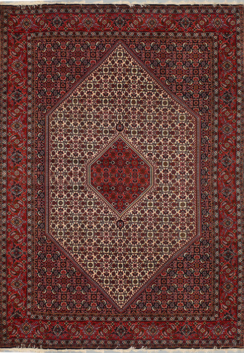 6'6  x 9'9 Persian Bijar Rug Mahi Design