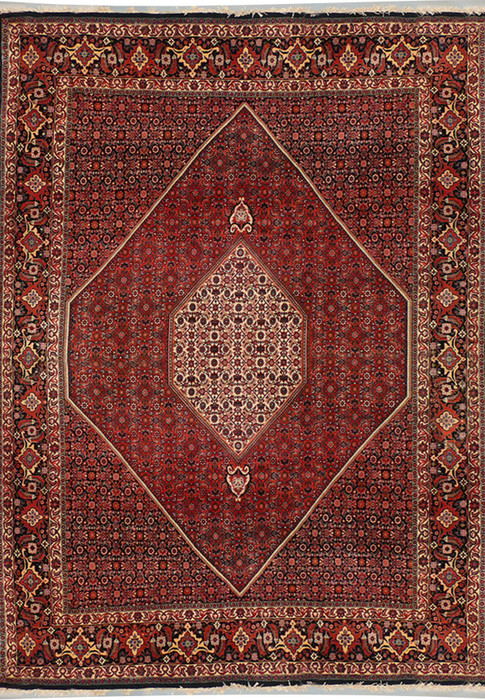 6'6 x 10'1 Persian Bijar Rug