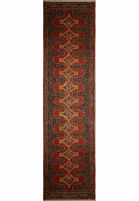 2'9" x 12'2" Botanical Persian Senneh Runner Rug | Kurdish Style