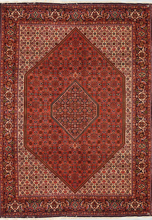 7 x 10 Persian Bijar Rug Diamond Medaillon