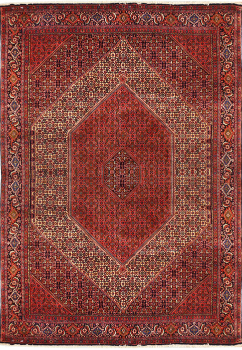 8'2 x 11'6 Persian Bijar Rug