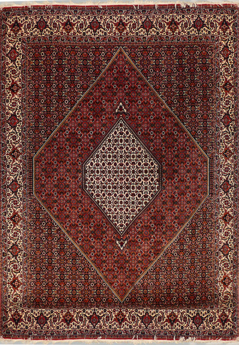 6'5" x 9'7" Persian Bijar Rug Mahi Design