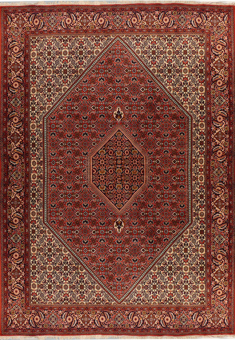 6'7" x 9'9" Persian Bijar Rug