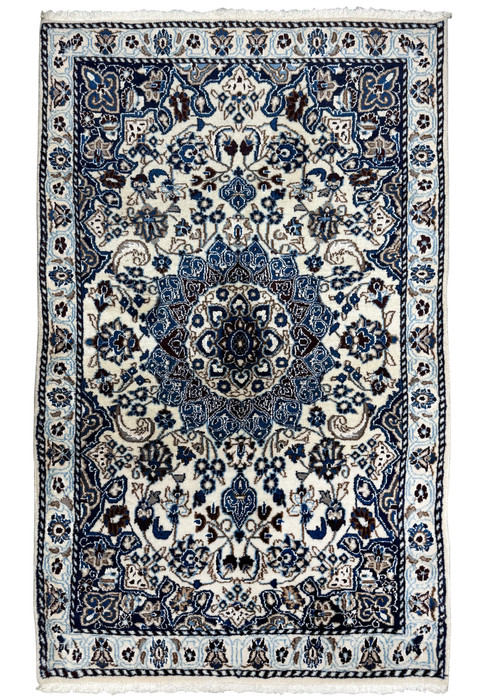 Full view of 3 x 4'9 Nain Persian Rug featuring intricate medallion and floral patterns.