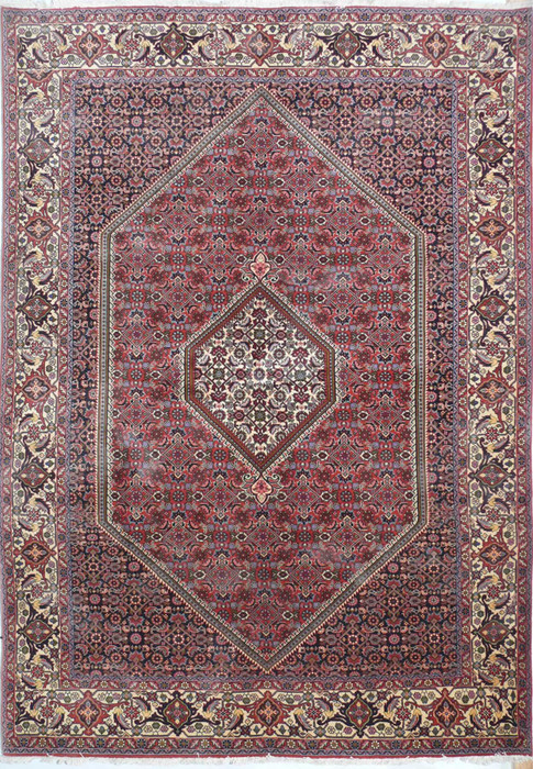 6'6 x 9'4 Persian Bijar Rug
