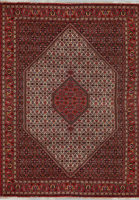 7 x 10 Persian Bijdar Rug Mahi Design