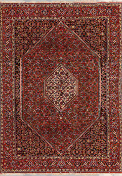 6'4" x 9'6" Persian Bijar Rug