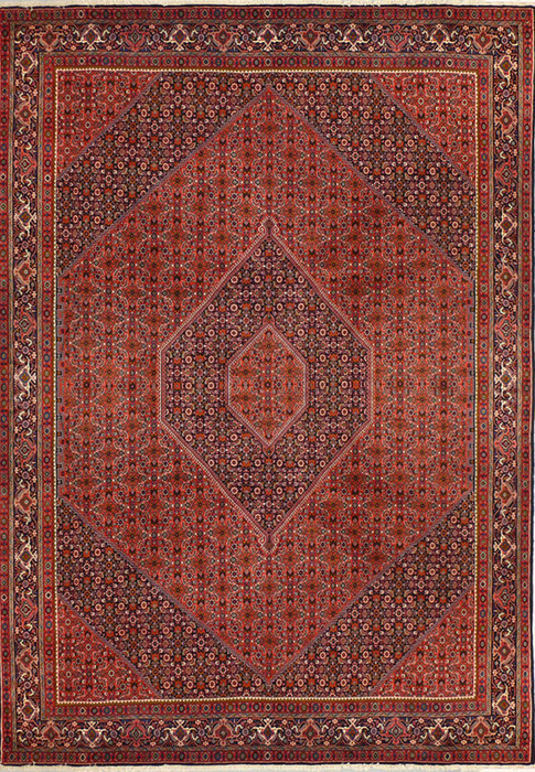 8'3 x 11'8 Persian Bijar High-End Rug
