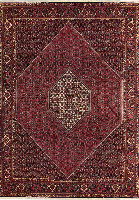 7 x 10'5 Persian Bijar Rug