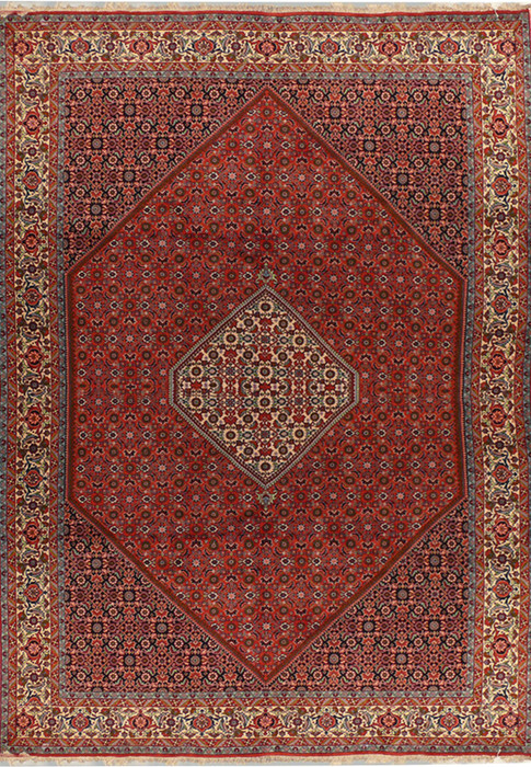 6'6 x 10 Persian Bijar Rug