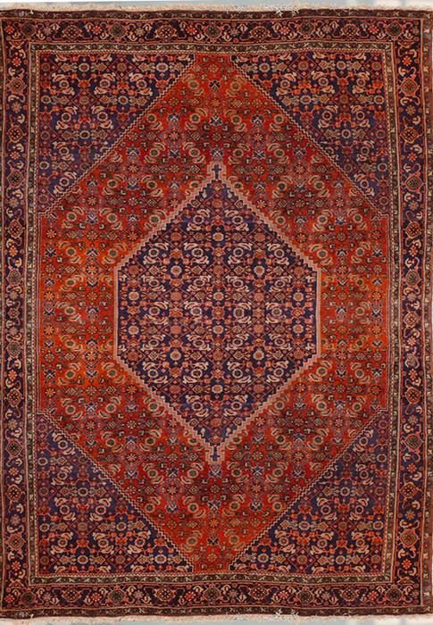 6'8 x 10'2 Persian Bijar Rug