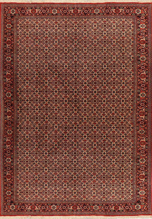 Full view of 6'5 x 9'5 Persian Bijar Rug with all over design