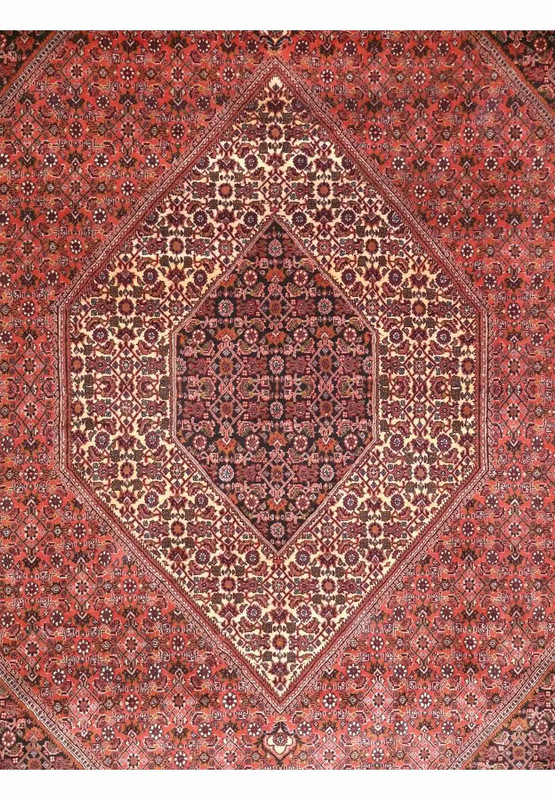 7 x 10 Persian Bijar Mahi Design Rug