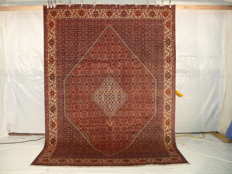 8'1" x 11'3" Persian Bijar Rug