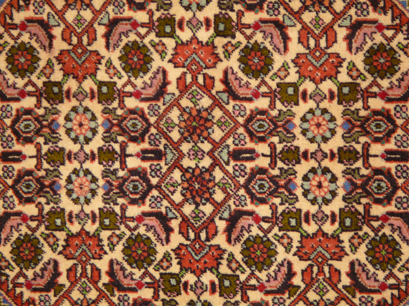 8'1" x 11'3" Persian Bijar Rug