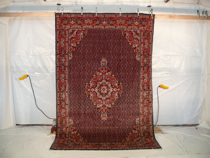 6'7" x 10'3" Persian Bijar Rug