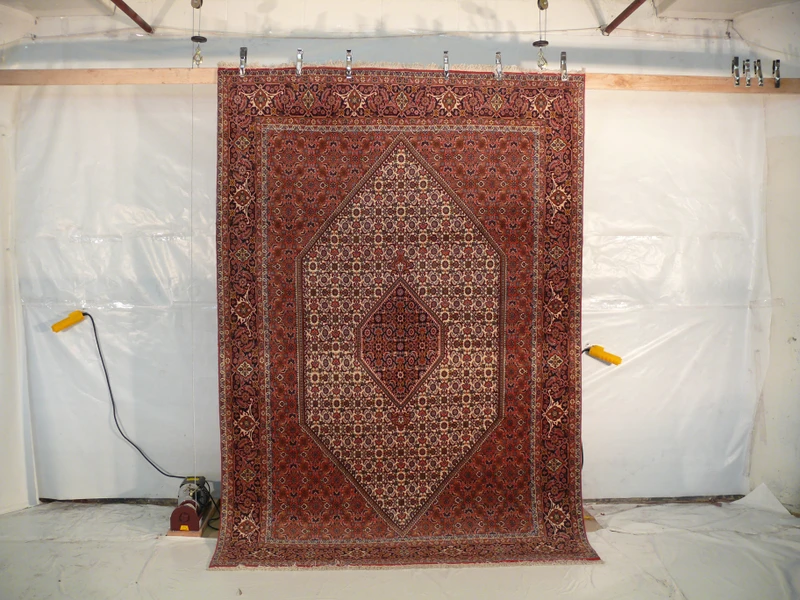 6'6" x 9'7" Persian Bijar Rug