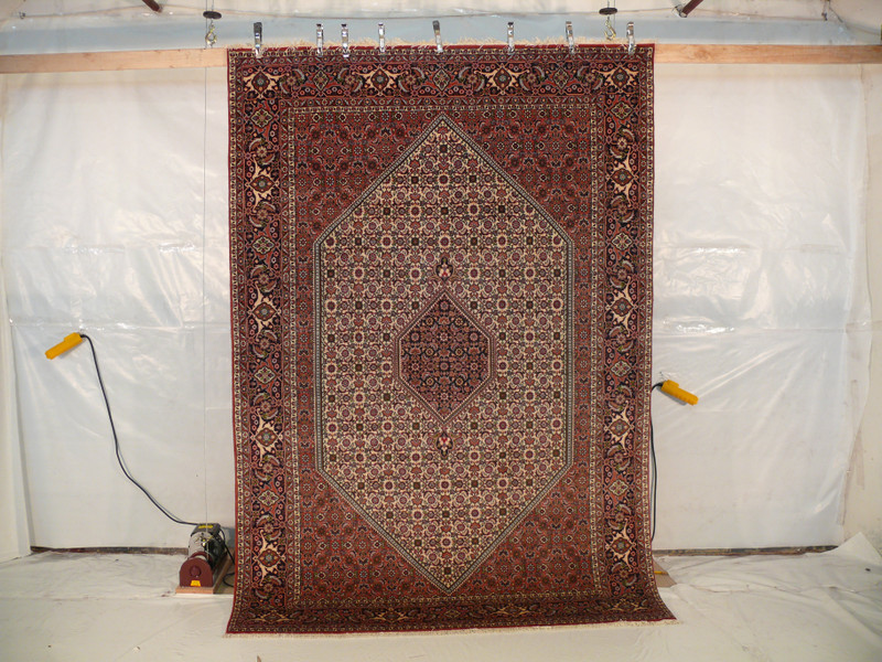 6'6" x 9'7" Persian Bijar Mahi Design