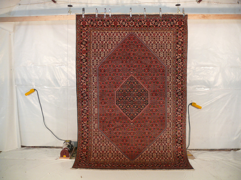 6'3 x 9'6 Persian Bijar Rug Mahi Design