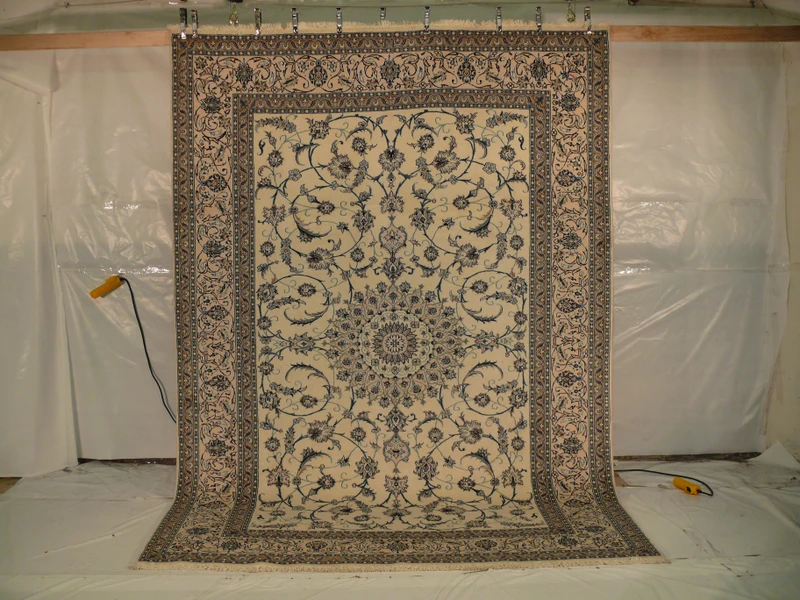 8'2 x 11'6 Persian Nain Dragon Medallion Design Rug