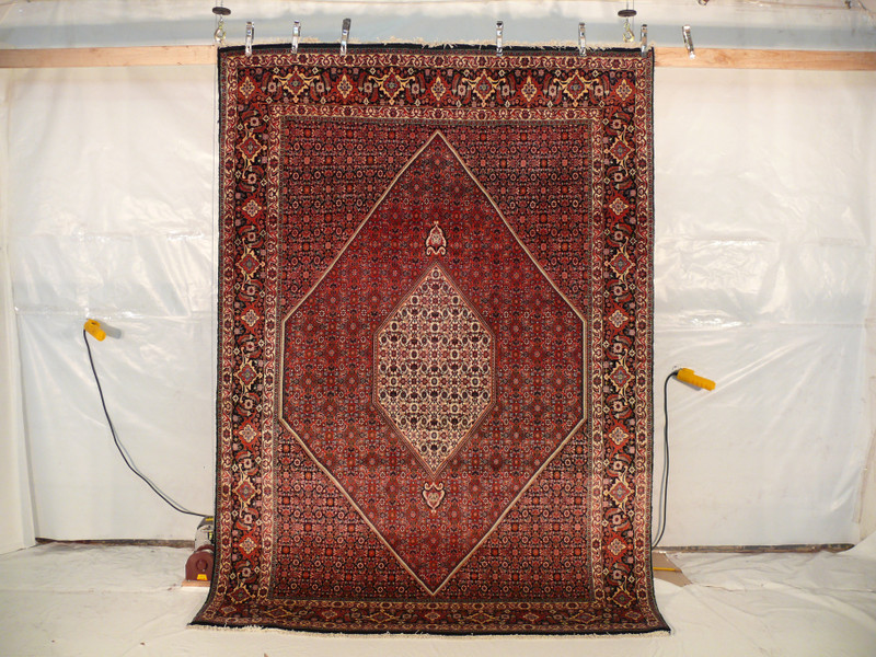 6'6 x 10'1 Persian Bijar Rug
