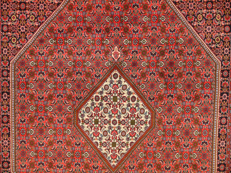 7 x 10 Persian Bijar Rug Diamond Medaillon