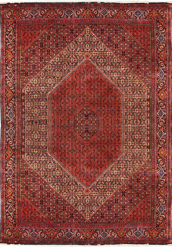 8'2 x 11'6 Persian Bijar Rug