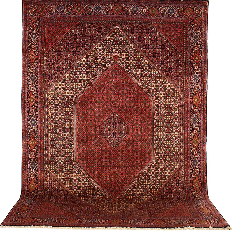 8'2 x 11'6 Persian Bijar Rug