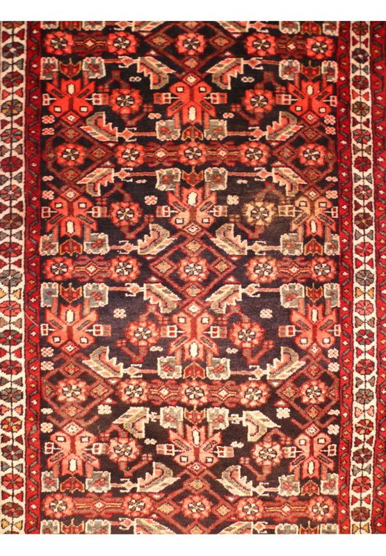 Medallion of a 3x10 Persian Hamedan Runner Rug