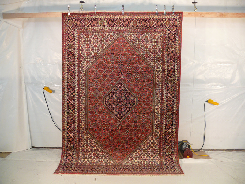6'5 x 9'7 Persian Bijar Rug Mahi Design