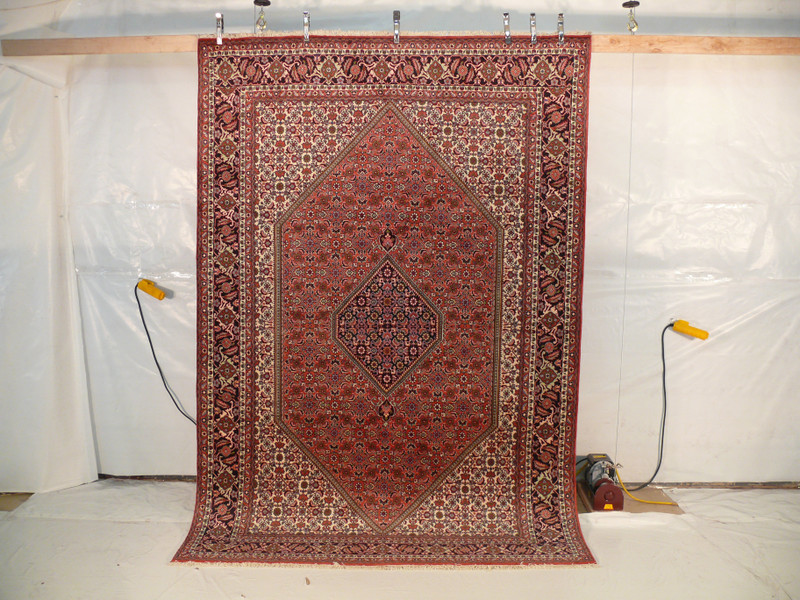 6'5 x 9'7 Persian Bijar Rug Mahi Design