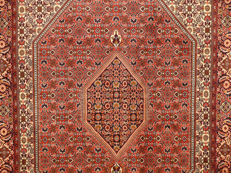 6'7" x 9'9" Persian Bijar Rug