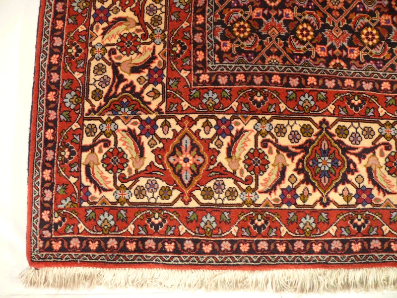 8x11 Persian Bijar Rug - Detailed border featuring intricate design and bold colors