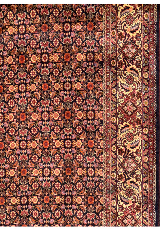 Angle shot of Persian Bijar Rug, illustrating the depth of design and color vibrancy