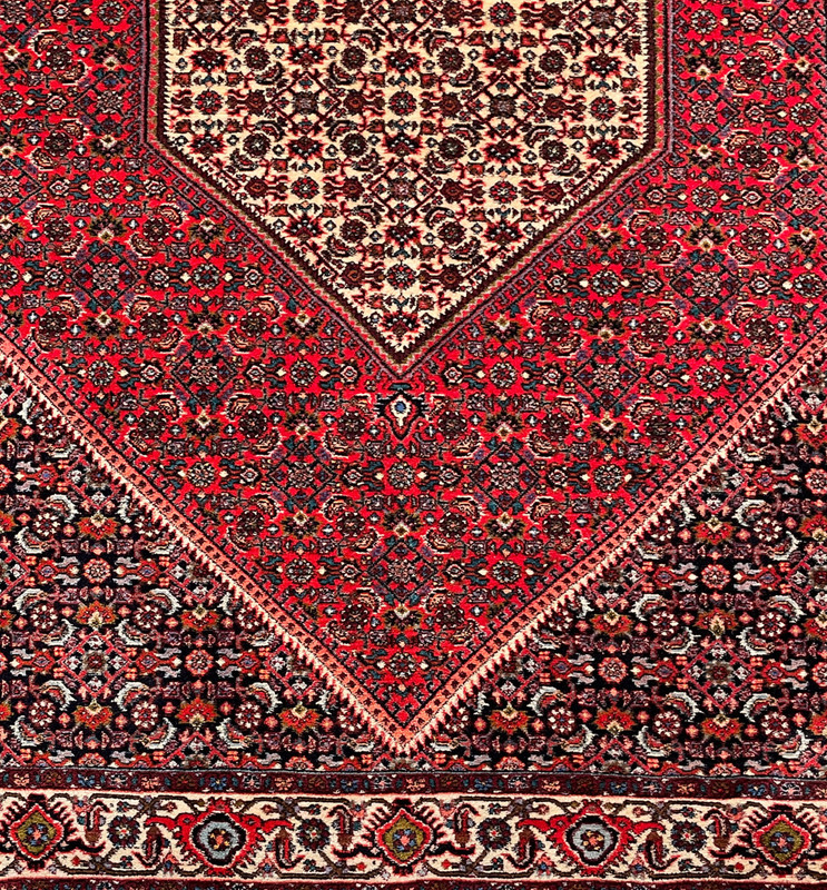 Partial view of the Persian Bijar rug, focusing on the elaborate border patterns and interplay of colors.
