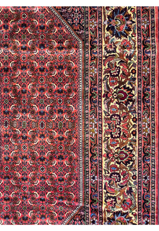 Close-up view of the Bijar Rug’s border, emphasizing the detailed floral motifs and colorful patterns on a navy blue background