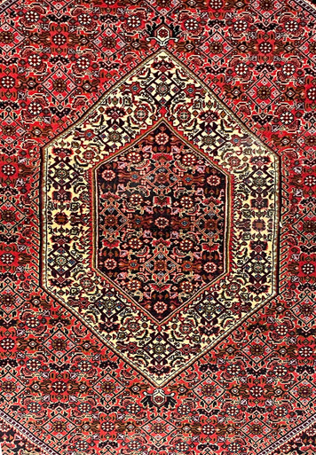 3'7 x 6 Persian Bijar Rug 1