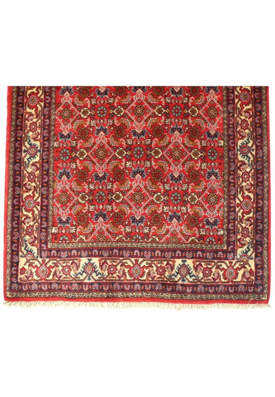 Border detail of the Persian Bijar runner rug, emphasizing the meticulous craftsmanship and intricate design elements in shades of red, blue, and ivory. The durability and high-quality materials are showcased.