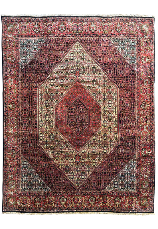 Full view of the Persian Bijar Rug showcasing the central medallion and border design.