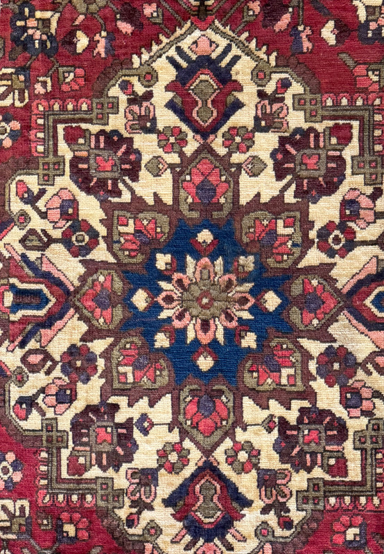 Detailed view of the central pattern of the 6'6" x 10' Persian Bakhtiar rug showing intricate floral designs and geometric shapes in a rich color palette