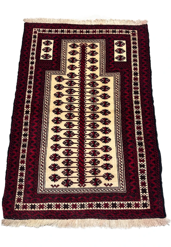 Vertical full view of a 3'6 x 5'4 Persian Baluch Rug showcasing its detailed design.