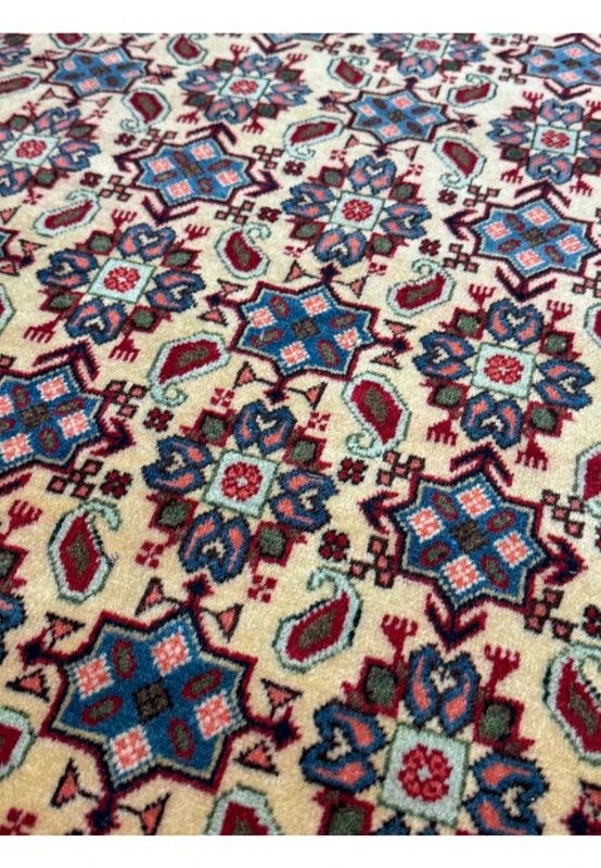 Close-up showing the texture and detailed patterns of the 3'4 x 5'3 Persian Hamedan Rug.