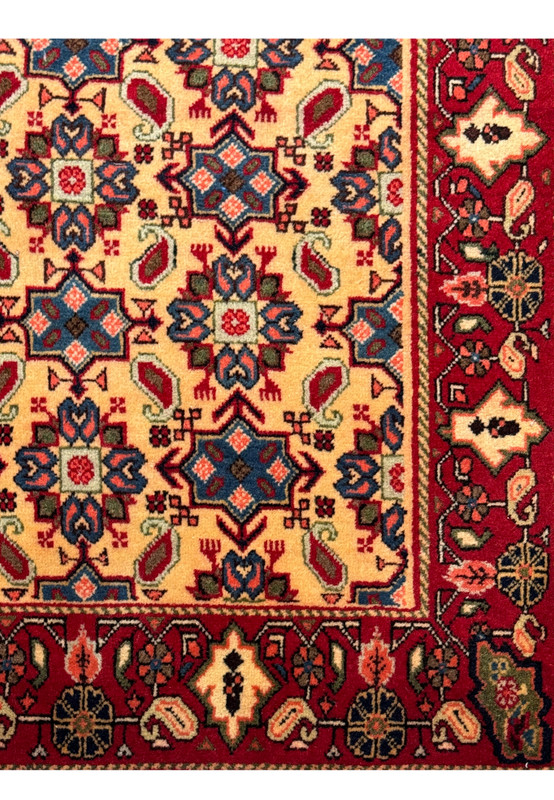 Close-up of the intricate border of a 3'4 x 5'3 Persian Hamedan Rug, featuring floral and geometric patterns in red and navy.