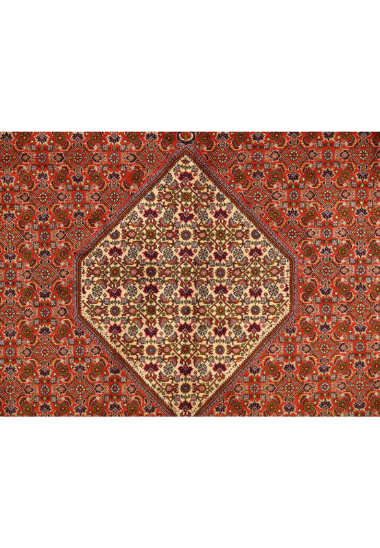 Close-up of medallion on 8'2" x 11'8" Persian Bijar Rug