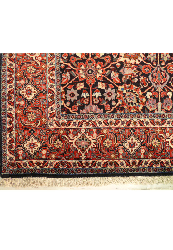 Border design of 6'6 x 8'4 Persian Bijar Rug