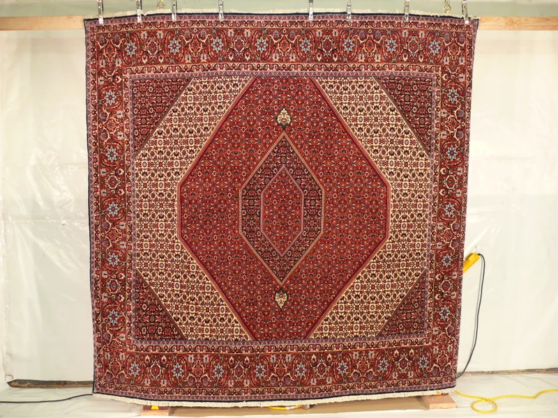 8'4" x 8'4" Bidjar Square Persian Rug hanging also known as iron rug of Persia.